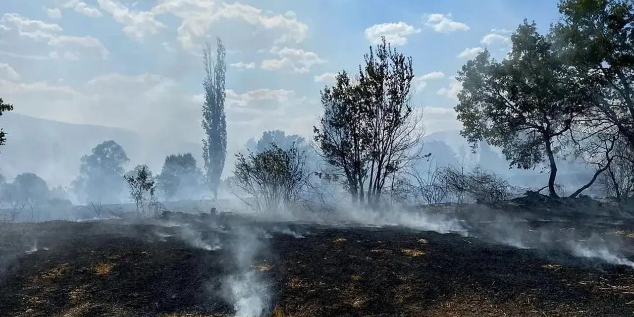 Yozgat'ta korkunç yangın! Köy alevlere teslim oldu