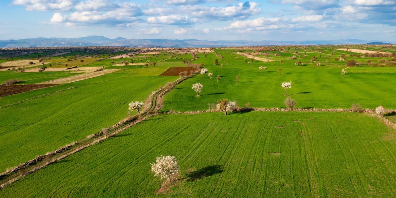 Yozgat'ta tarım arazisi olanlara müjde! Paraya para demeyecekler