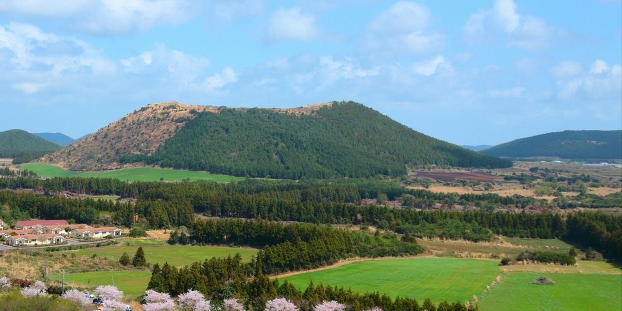 Yozgat'a yeni bir soluk getirecek! Proje için hazırlıklar başladı