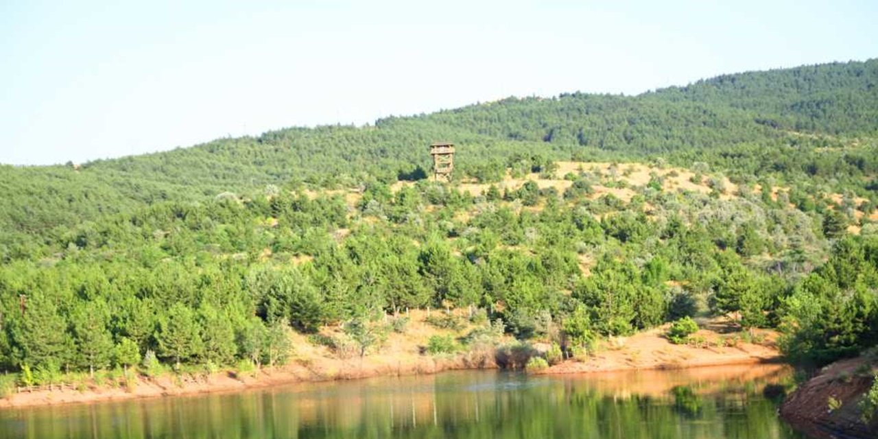 Yozgat Valiliğinden Çamlık Parkı ve Yeşil Alanlar İçin Kritik Temizlik Çağrısı