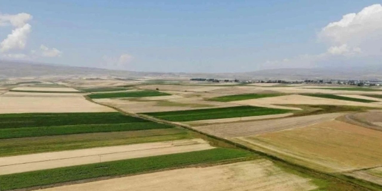 Yozgat'ta Boş Kalan Araziler Kiralığa Çıktı: 2 Yıl Ekilmeyen Tarlalar Üretime Açılıyor