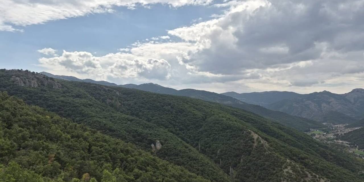 Yozgat Orman İşletme Müdüründen Orman Yolu İçin Saha İncelemesi