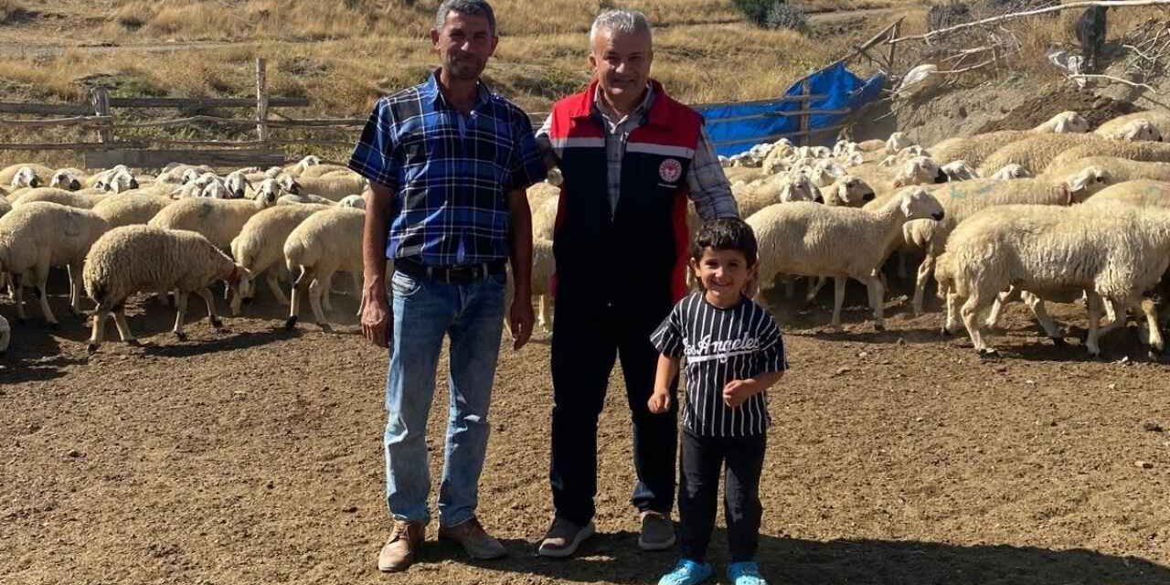 Yozgat'ta Üreticiye Büyük Destek: 100 Küçükbaş Hayvan Teslimatı Başladı