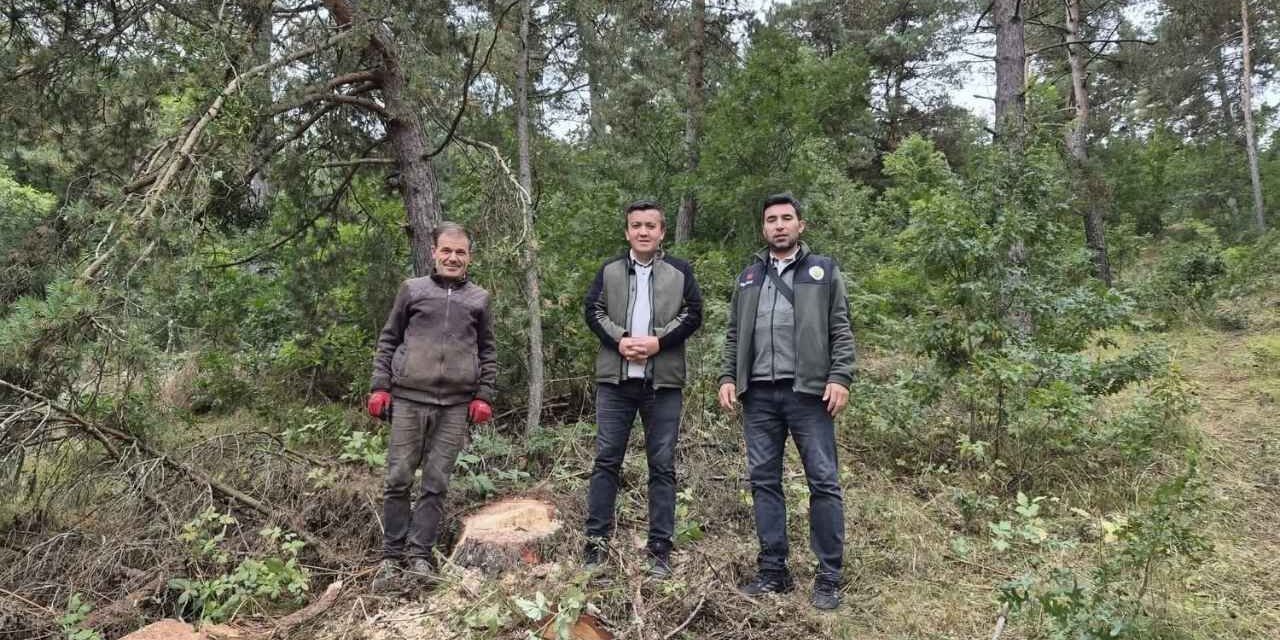 Yozgat'ta Ormanların Geleceği İçin Sıkı Takip: Çekerek 305 No.lu Bölme Mercek Altında