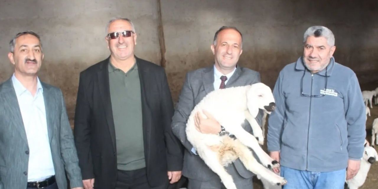 Tarım İl Müdürü Şentürk Duyurdu: Yozgat’ta Yabancı Çoban Dönemi Resmen Başladı