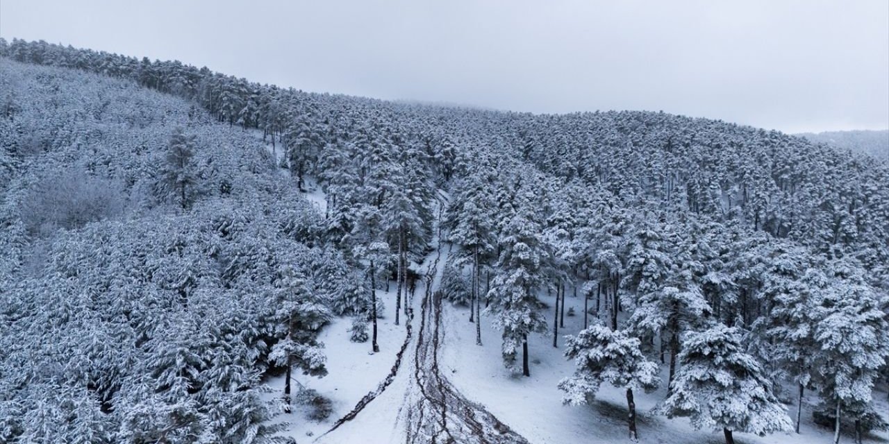 Yozgat'a Kar Ne Zaman Geliyor? Lapa Lapa Kar Bekleyenler İçin Meteoroloji Tahminleri!
