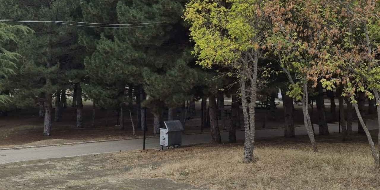 Yozgat Doğa İle Buluşuyor: Yeni Orman Parkları İçin Düğmeye Basıldı