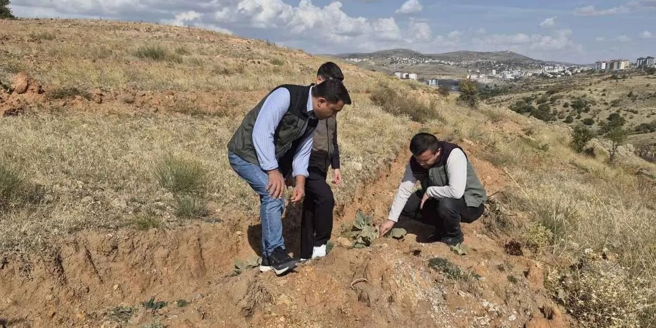 Geleceğe Nefes Olacaklar: Yozgat Orman İşletme Müdürlüğü Saha Hazırlıklarını Yoğunlaştırdı