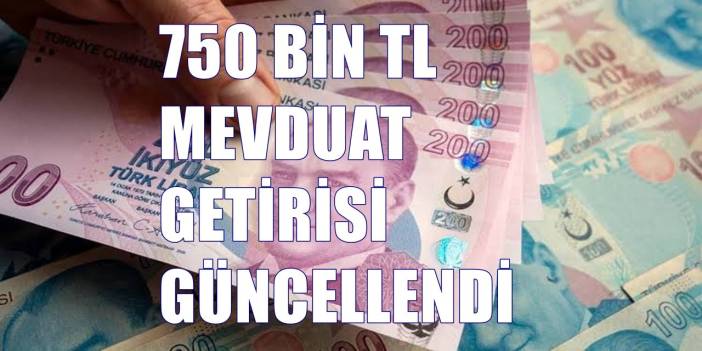 Faiz Oranlarında Büyük Güncelleme: 750 Bin TL Aylık Vadede Hangi Bankada Ne Kadar Getiriyor?