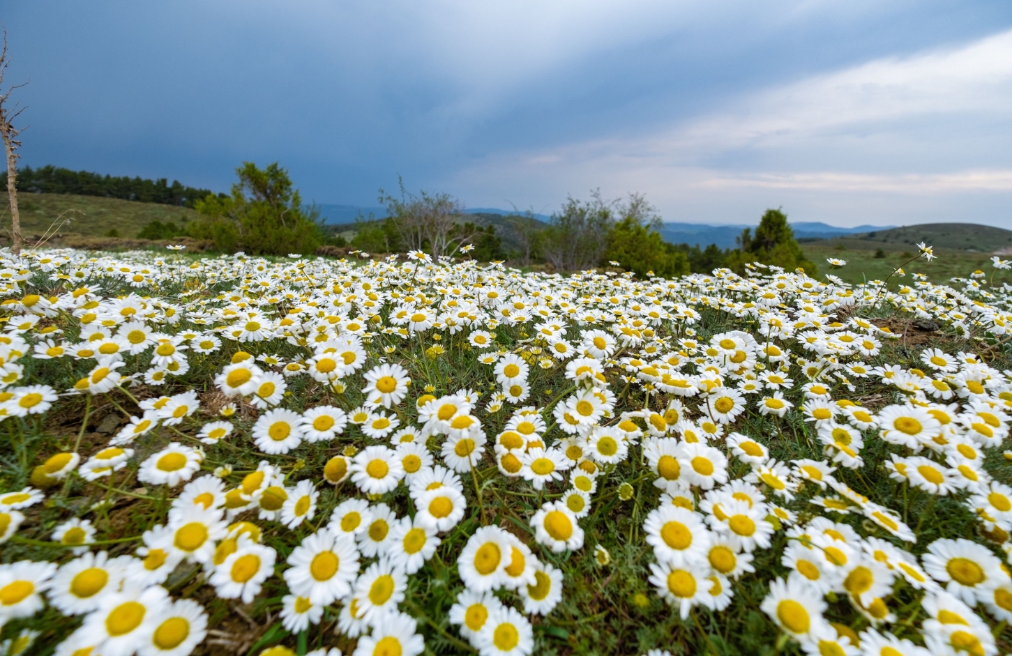 akdagmadeninin-guzelliklerini-fotograflariyla-taclandiriyor-6.jpg