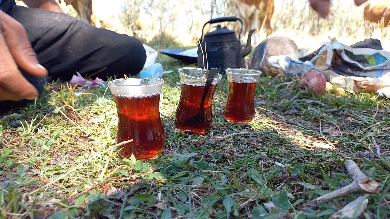 yozgatta-cobanlar-bu-lezzetten-vazgecemiyor-5.jpg