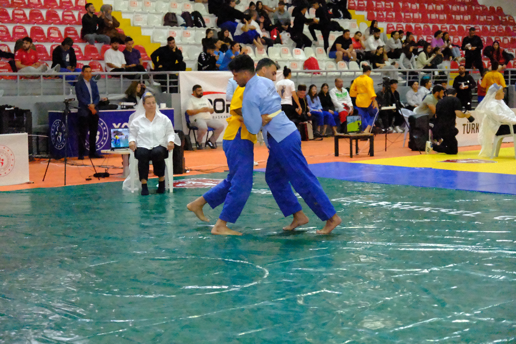 7-001.jpg