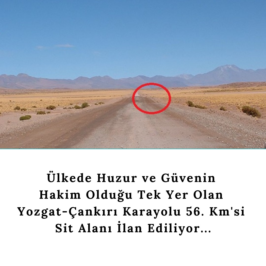 yozgat-yine-zaytunga-konu-oldu-4.jpg