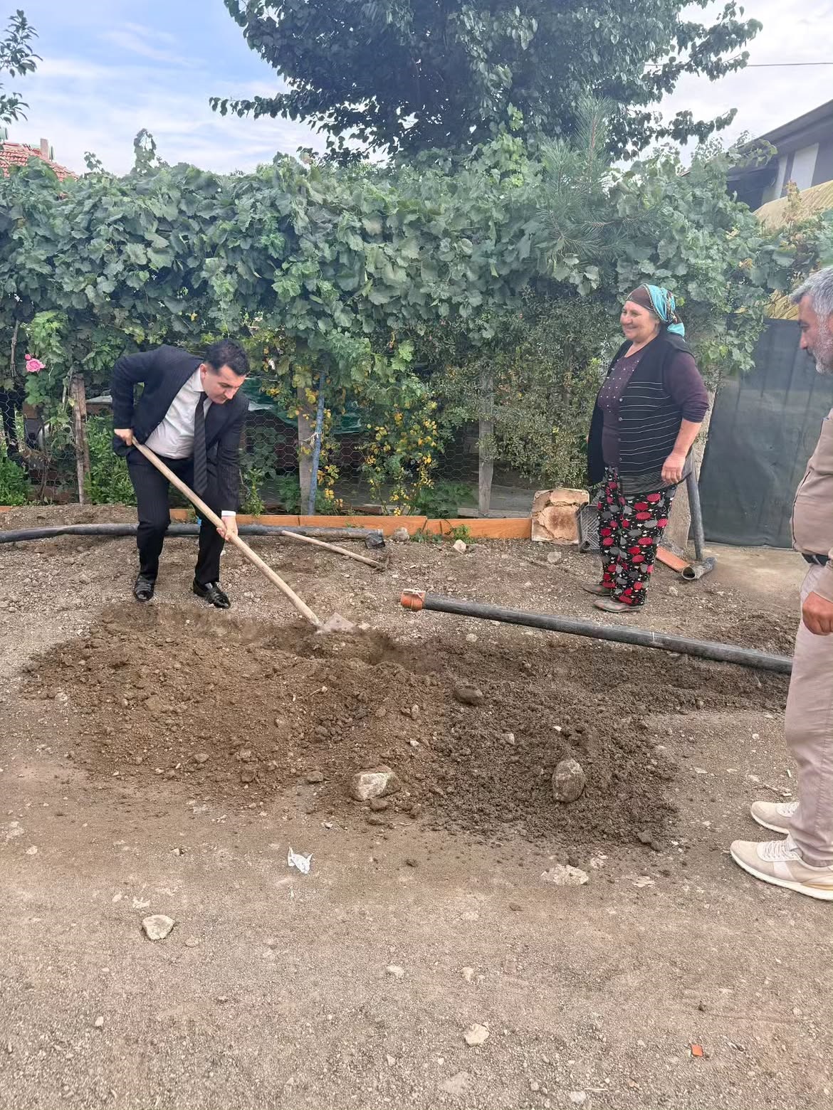 teftis2.jpg